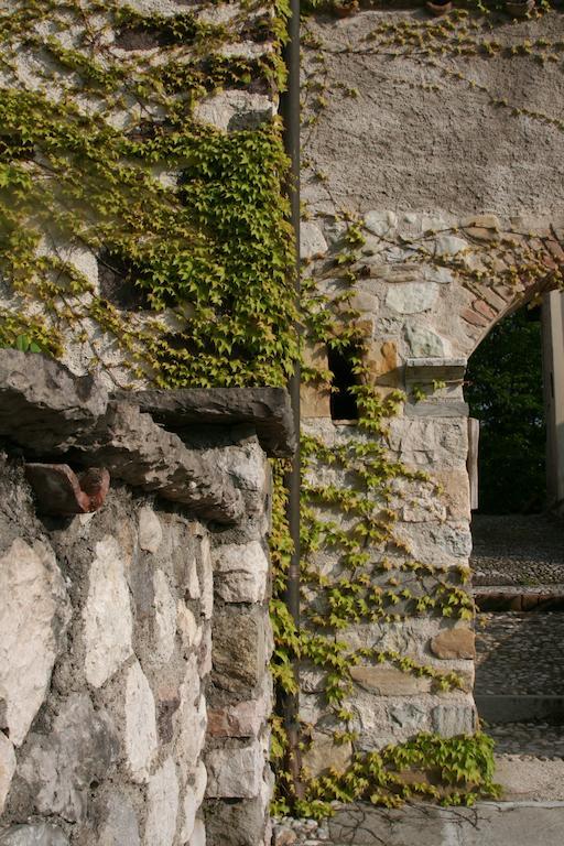 La Maison Lion Cesiomaggiore Zewnętrze zdjęcie